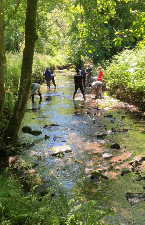 Key Stage 3 Field Trips