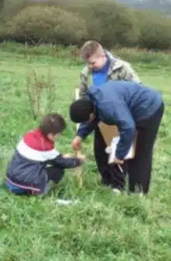 Key Stage 3 Field Trips