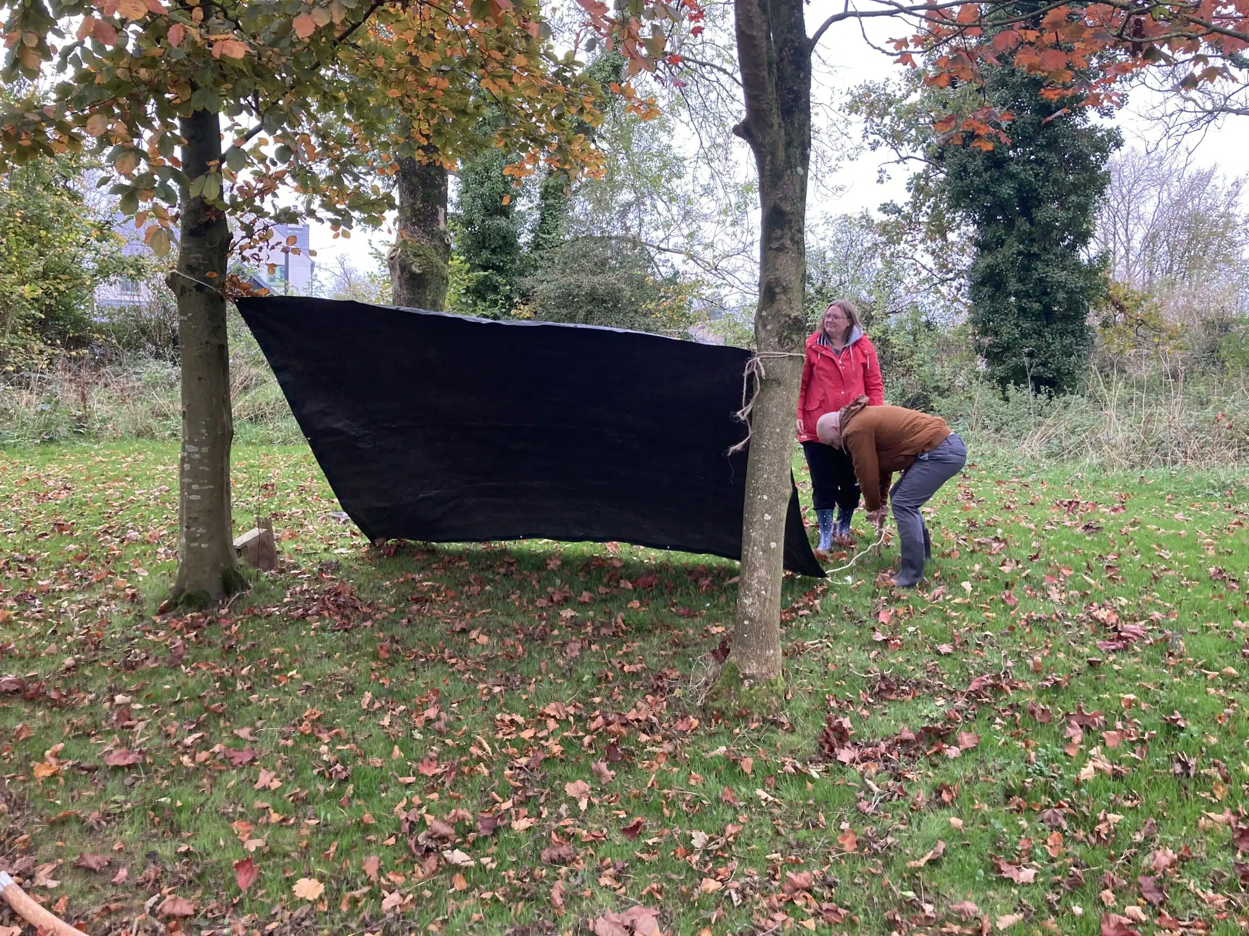Nature Days whole school training plans