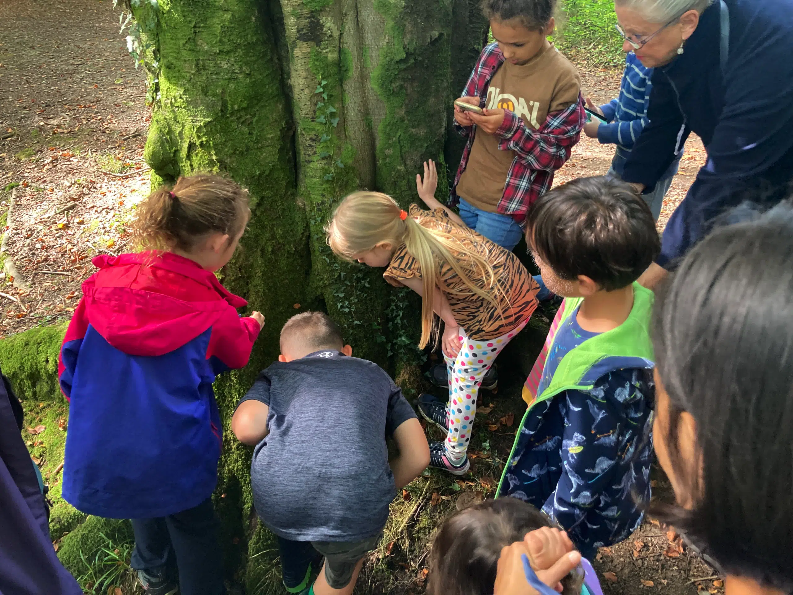 Do you want to fully embed and integrate your outdoor learning into your teaching?